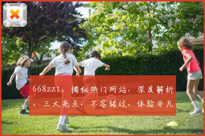 668zzt，揭秘热门网站，深度解析，三大亮点，不容错过，体验非凡