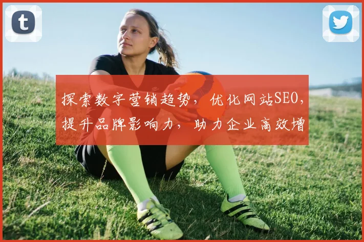探索数字营销趋势，优化网站SEO，提升品牌影响力，助力企业高效增长策略分享